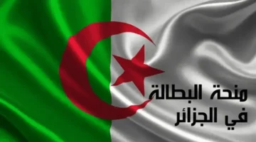 رفع منحة البطالة 300 دينار في الجزائر وفقا لقرار الحكومة وشروط تجديدها لأكثر من سنة